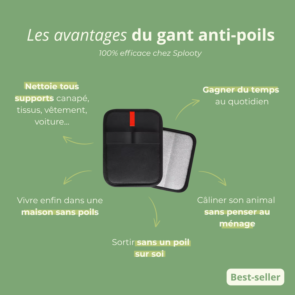 Gant Anti-Poils Textiles