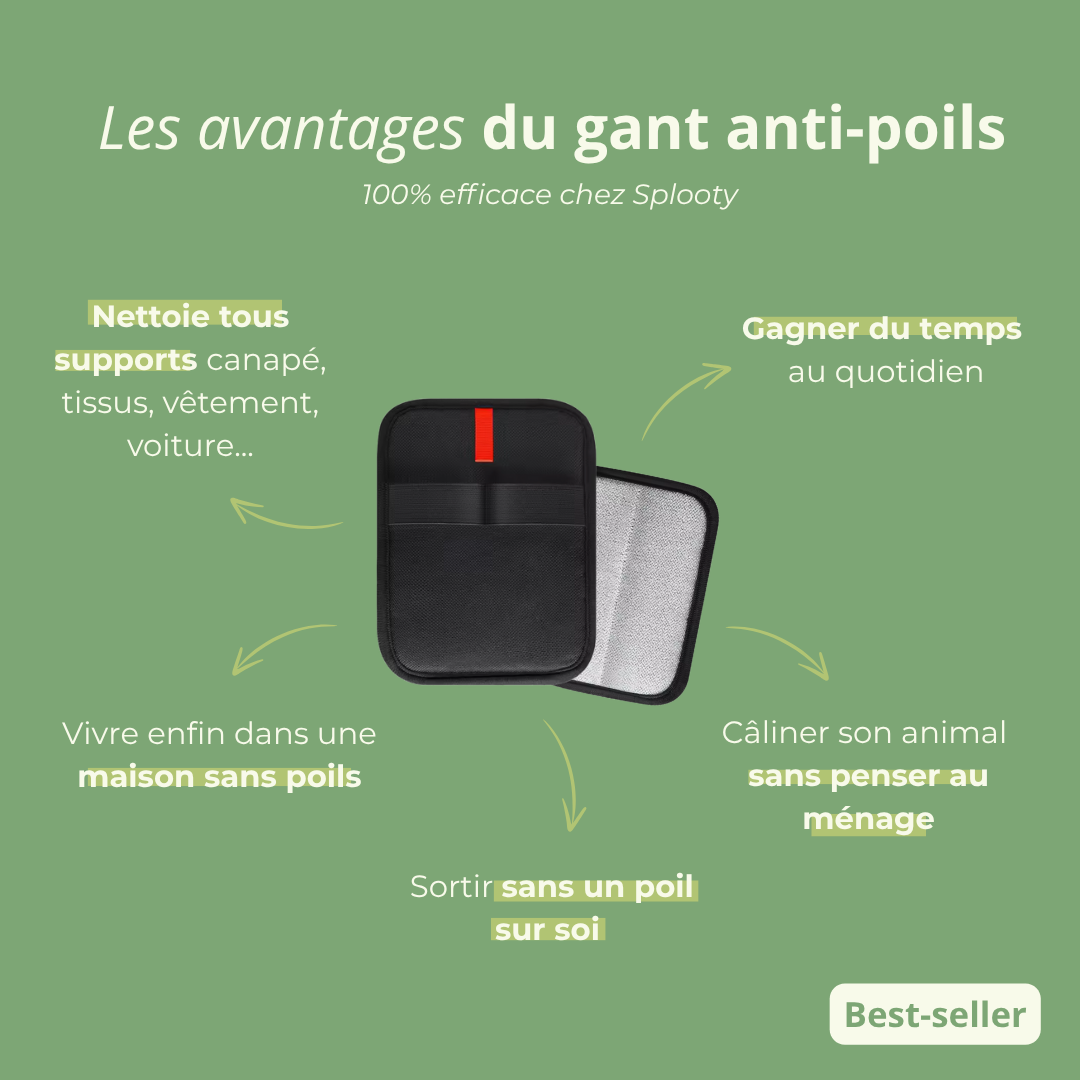 Gant Anti-Poils Textiles