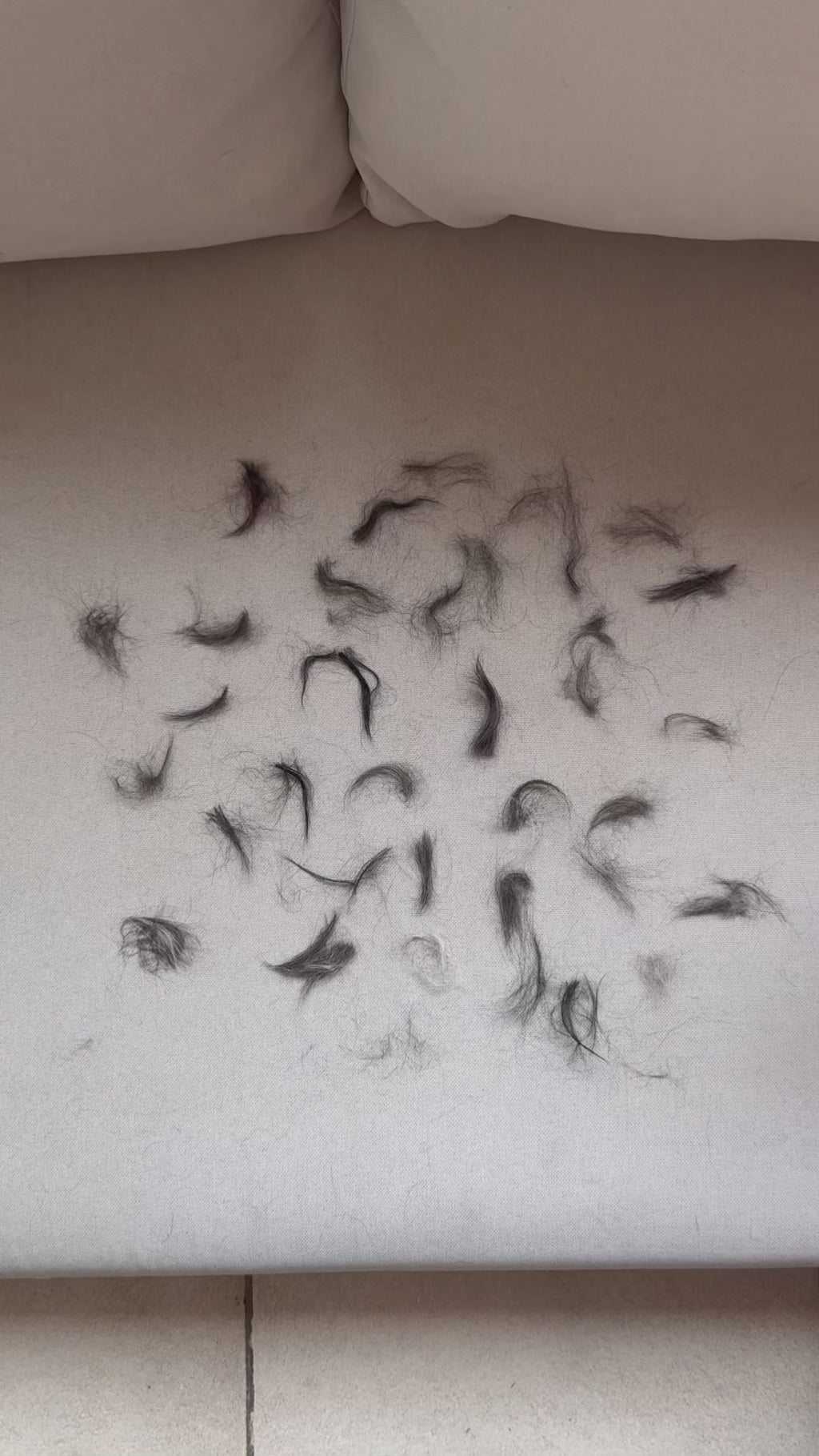 Gant Anti-Poils Textiles