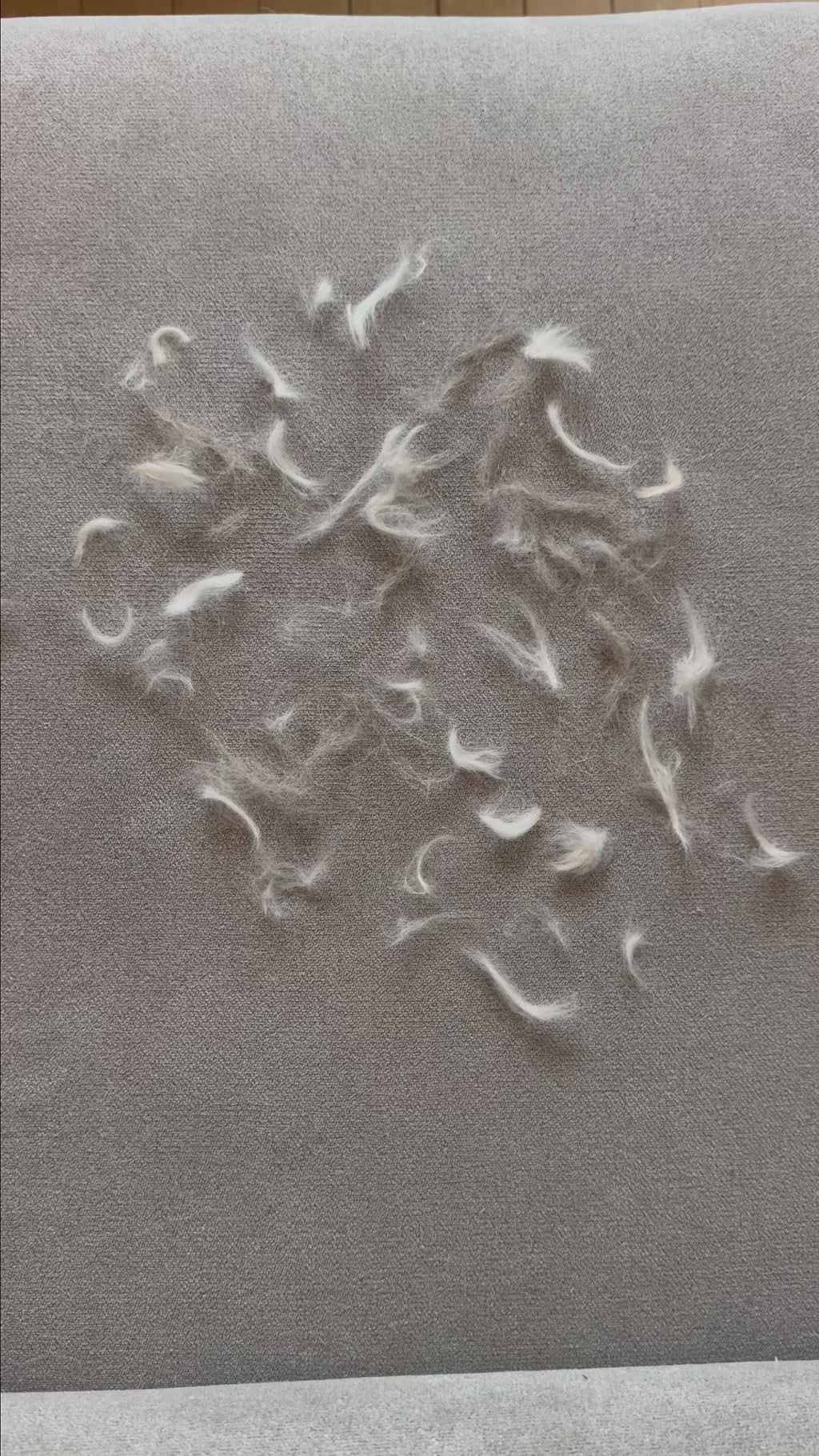 Gant Anti-Poils Textiles